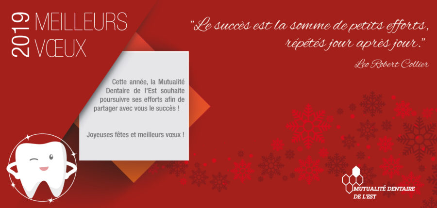 Voeux 2019