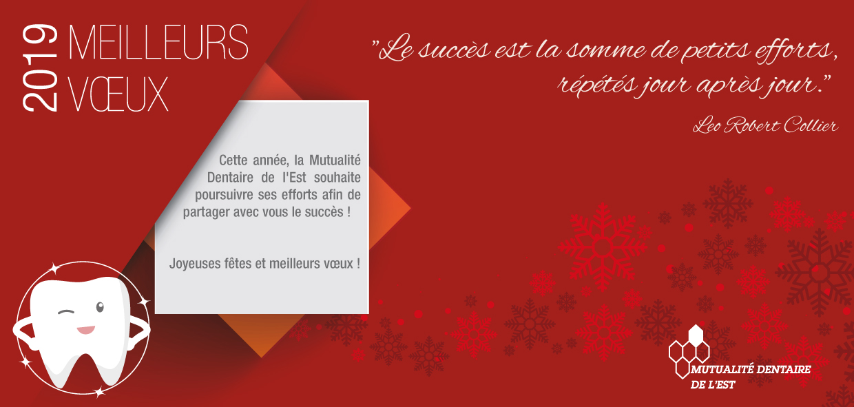 Bonnes fêtes et meilleurs voeux
